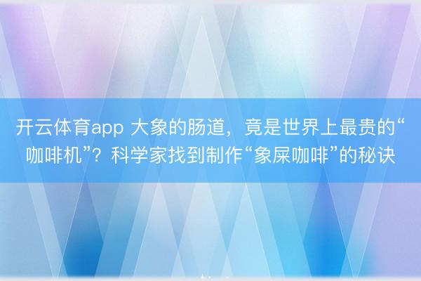 开云体育app 大象的肠道，竟是世界上最贵的“咖啡机”？科学家找到制作“象屎咖啡”的秘诀