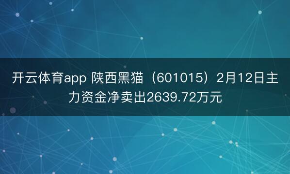 开云体育app 陕西黑猫（601015）2月12日主力资金净卖出2639.72万元