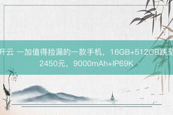 开云 一加值得捡漏的一款手机，16GB+512GB跌至2450元，9000mAh+IP69K