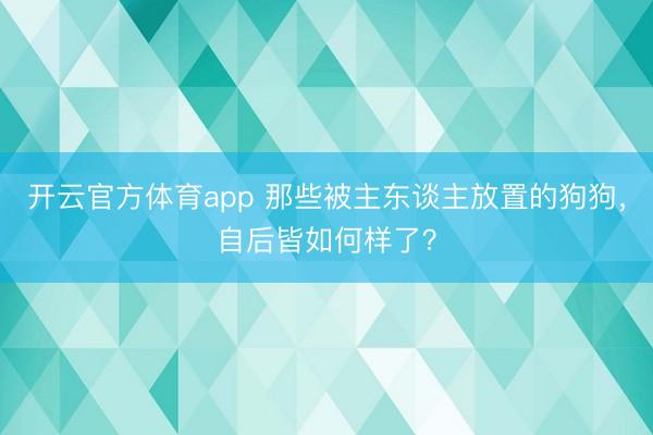 开云官方体育app 那些被主东谈主放置的狗狗,自后皆如何样了?