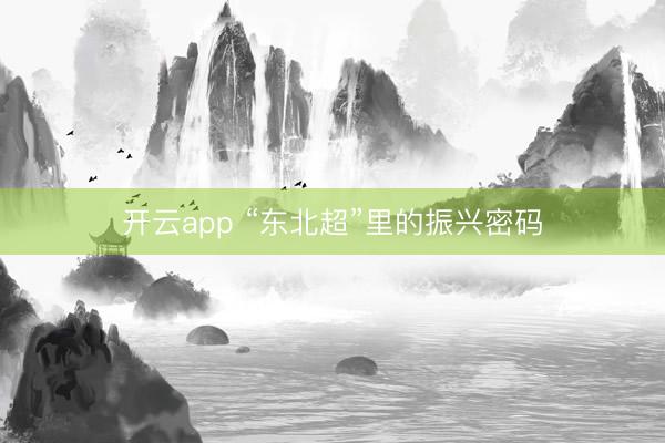开云app “东北超”里的振兴密码
