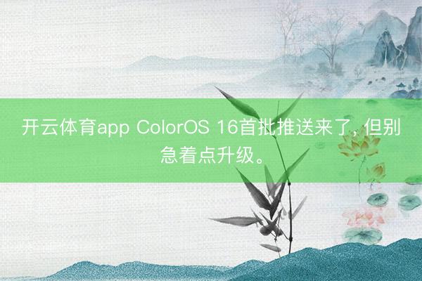 开云体育app ColorOS 16首批推送来了， 但别急着点升级。