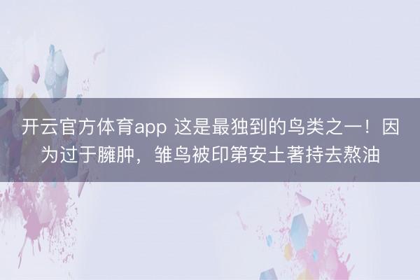开云官方体育app 这是最独到的鸟类之一！因为过于臃肿，雏鸟被印第安土著持去熬油