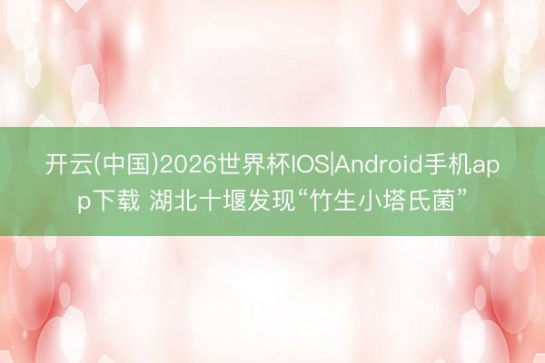 开云(中国)2026世界杯IOS|Android手机app下载 湖北十堰发现“竹生小塔氏菌”