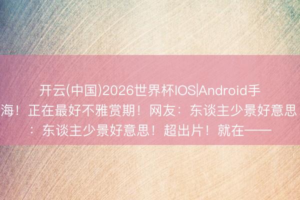 开云(中国)2026世界杯IOS|Android手机app下载 225亩花海！正在最好不雅赏期！网友：东谈主少景好意思！超出片！就在——