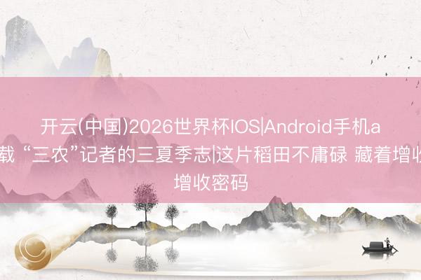开云(中国)2026世界杯IOS|Android手机app下载 “三农”记者的三夏季志|这片稻田不庸碌 藏着增收密码